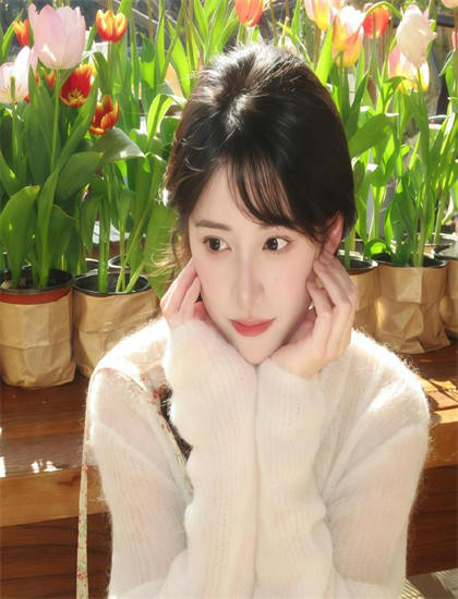 收藏必备：《商龙》文化评价怎么样？专业评分与观众口碑对比